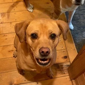 Meet your Posher, Madelyn